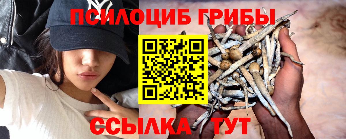 Галлюциногенные грибы ЛСД  Вход с VPN  Коломна  Галлюциногенные грибы Psilocybe 